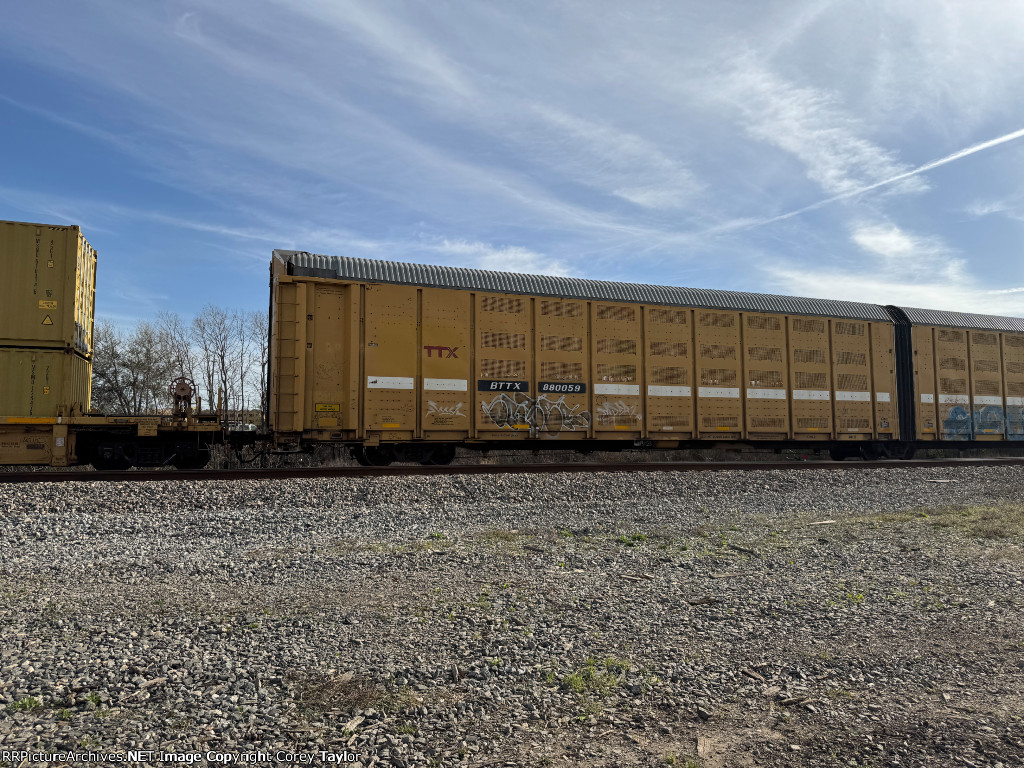 BTTX 880059